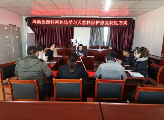 1575421297541721.png QQ图片20191204085839.png