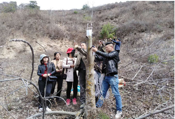 1554361706234566.png QQ图片20190404145927.png